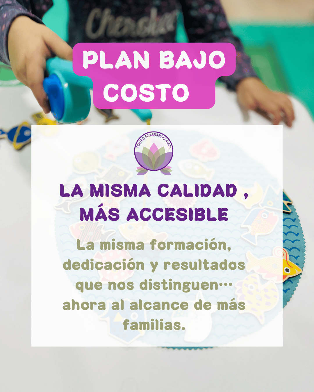 Programa de Terapias a Bajo Costo | Centro Sembrando Amor Buin