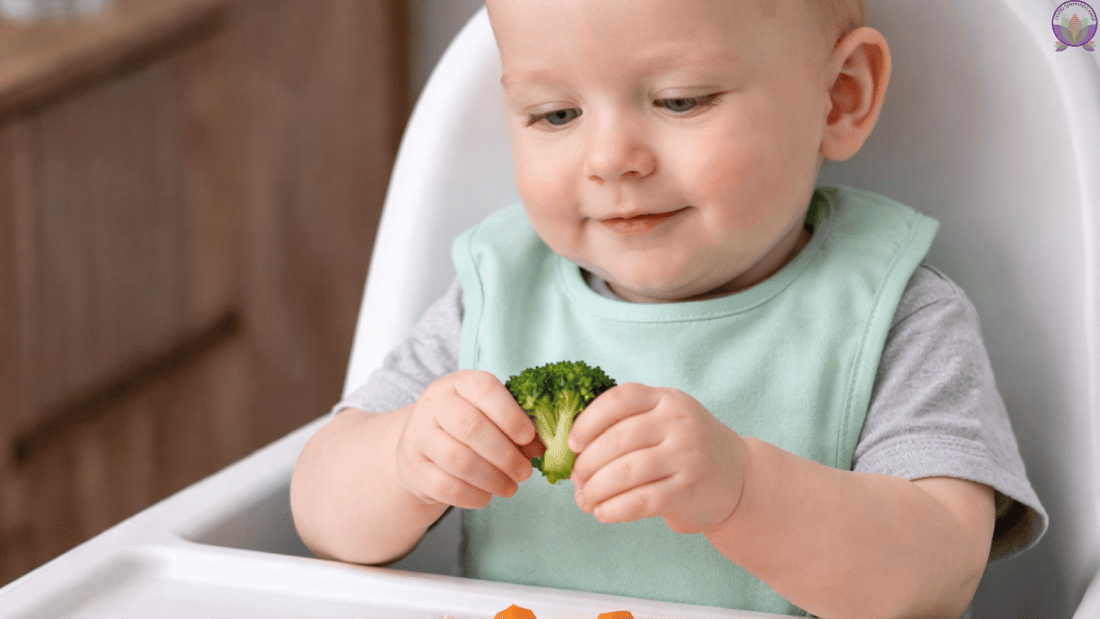 Alimentación complementaria: cómo iniciar y señales clave | Buin