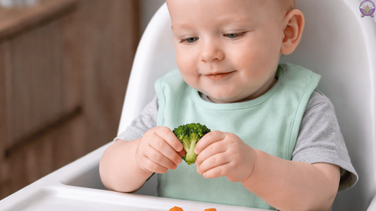 Alimentación complementaria: cómo iniciar y señales clave | Buin