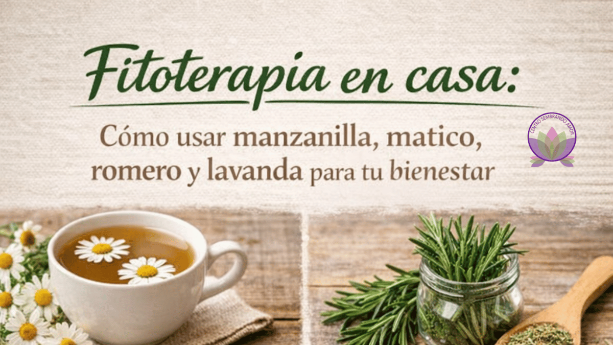 Fitoterapia en casa: cómo usar plantas medicinales para tu bienestar