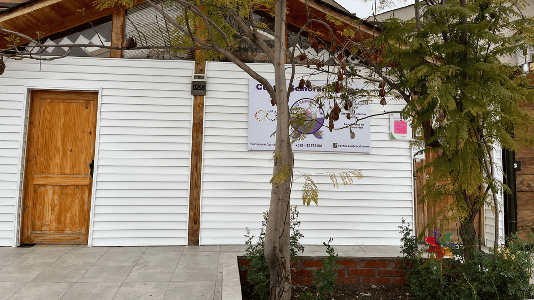 Terapias para adolescentes y adultos en Buin | Centro Sembrando Amor