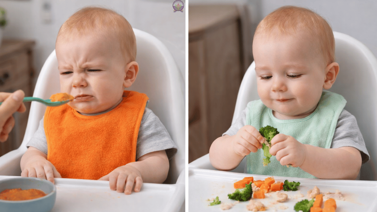 Errores en alimentación complementaria: guía para padres | CSA