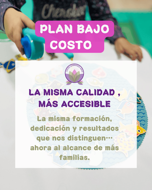 Programa de Terapias a Bajo Costo  | Centro Sembrando Amor Buin